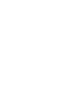 Unlimited Customization Support